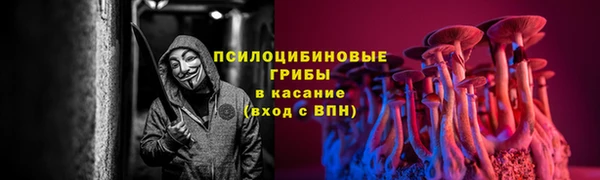 Альфа ПВП Абаза