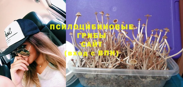 apvp Абдулино